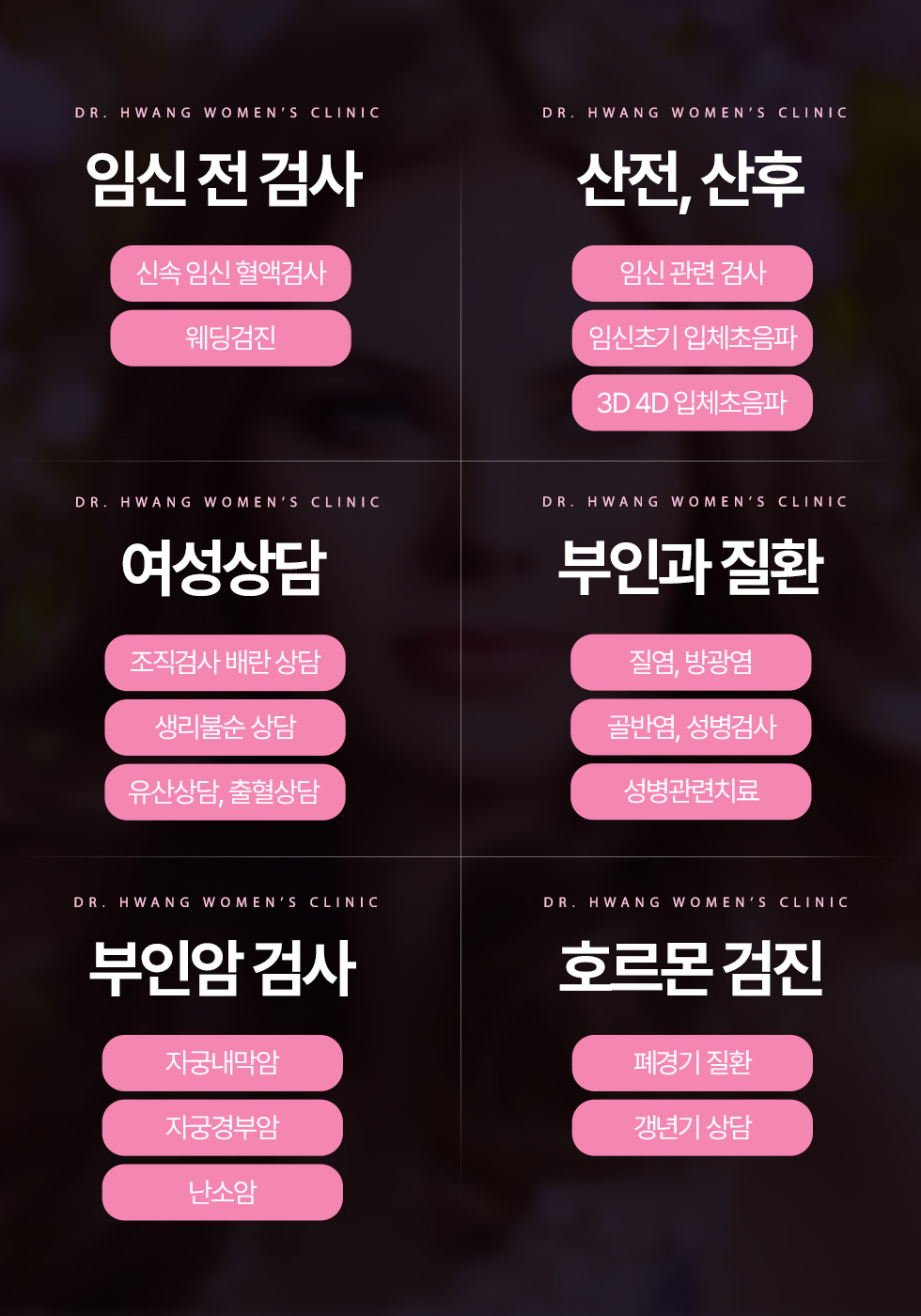 닥터황여성의원 검사항목